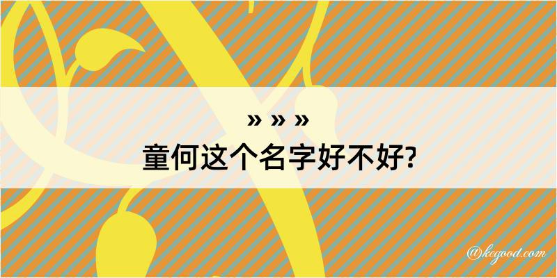 童何这个名字好不好?