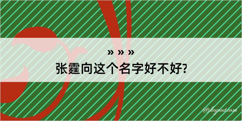 张霆向这个名字好不好?