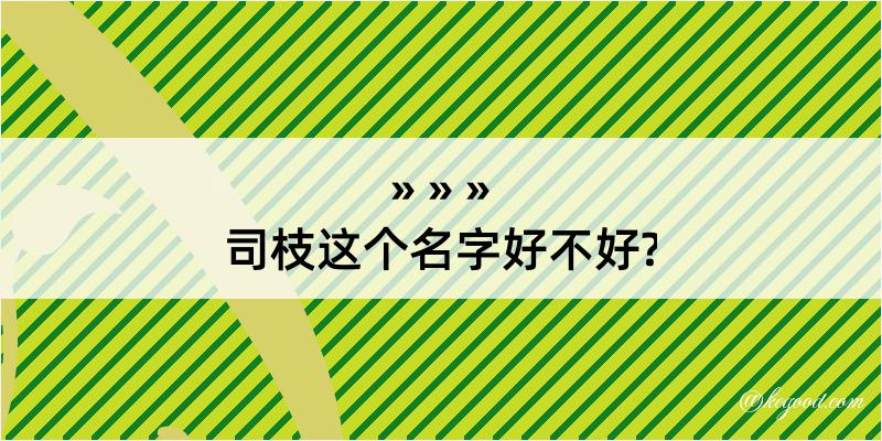 司枝这个名字好不好?