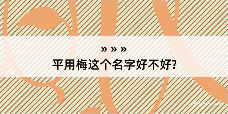 平用梅这个名字好不好?