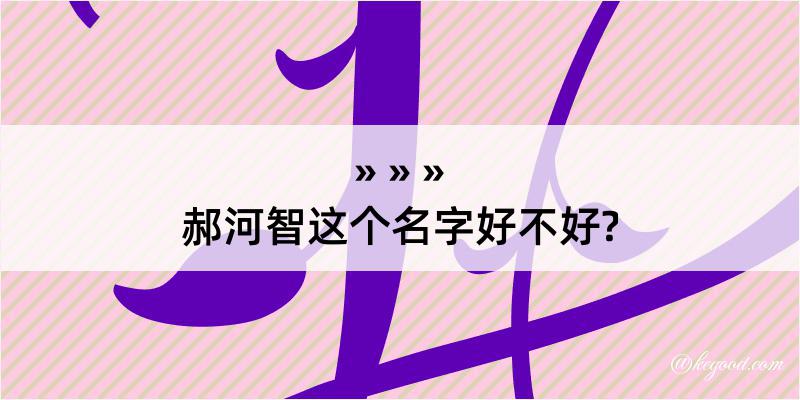 郝河智这个名字好不好?