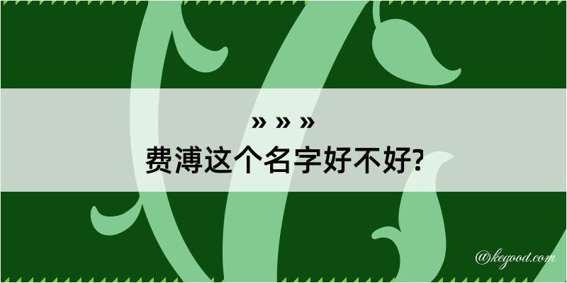 费溥这个名字好不好?