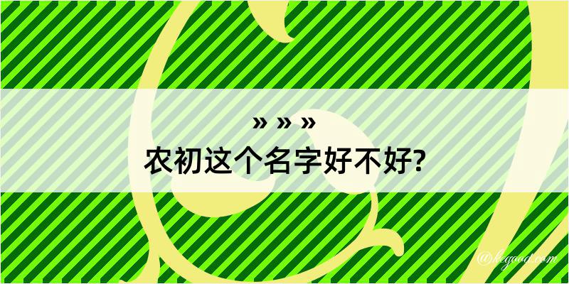 农初这个名字好不好?