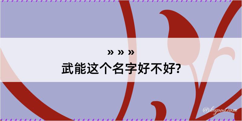 武能这个名字好不好?