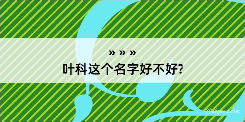 叶科这个名字好不好?