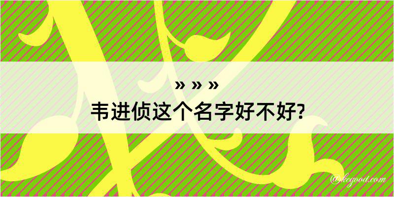 韦进侦这个名字好不好?