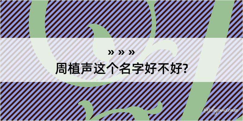 周植声这个名字好不好?