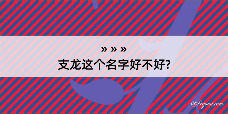 支龙这个名字好不好?