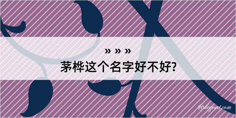 茅桦这个名字好不好?