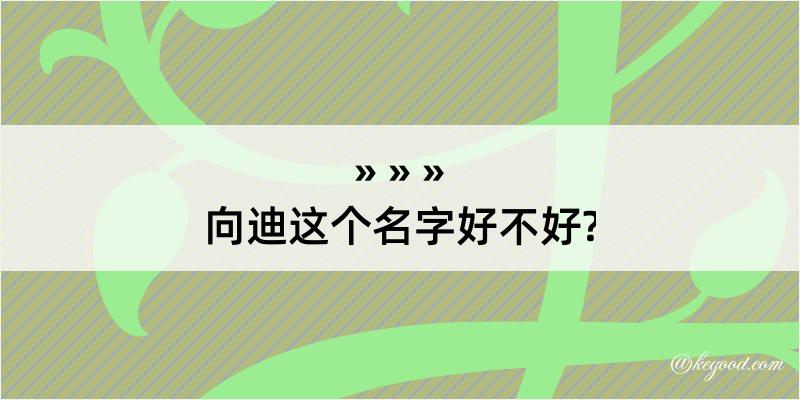 向迪这个名字好不好?