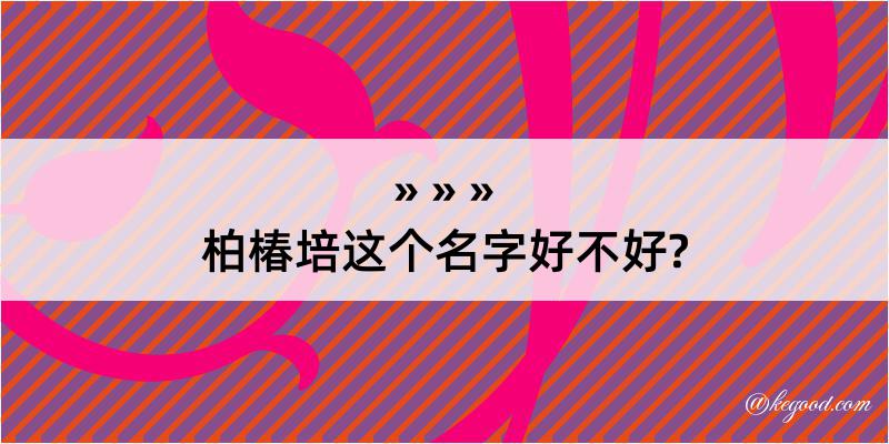 柏椿培这个名字好不好?