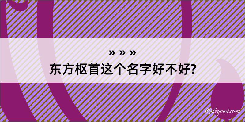 东方枢首这个名字好不好?