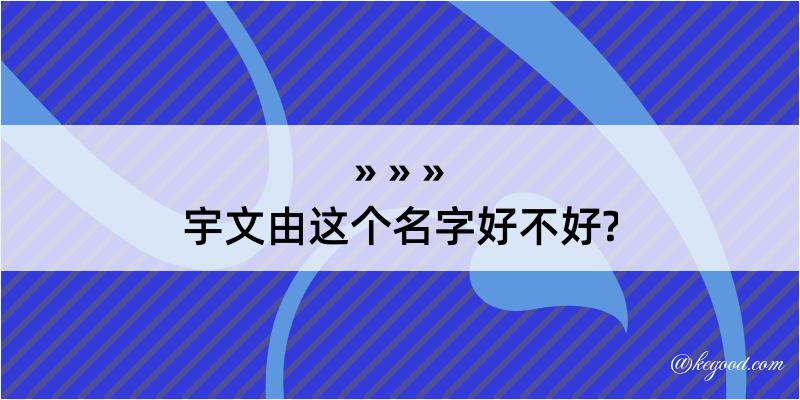 宇文由这个名字好不好?