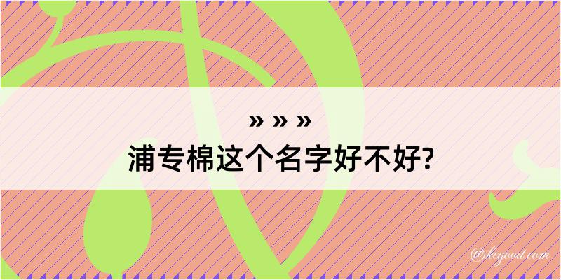 浦专棉这个名字好不好?