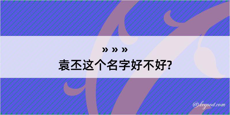 袁丕这个名字好不好?