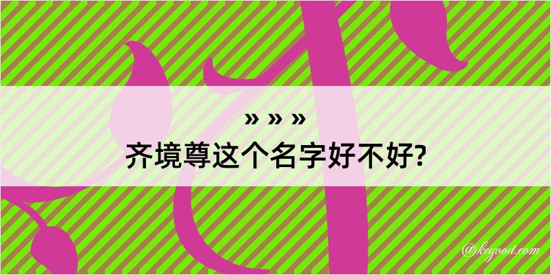 齐境尊这个名字好不好?