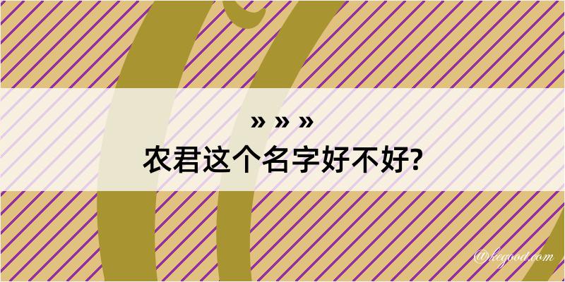 农君这个名字好不好?