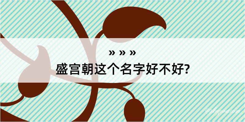 盛宫朝这个名字好不好?