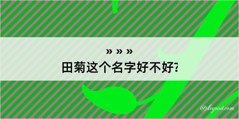 田菊这个名字好不好?