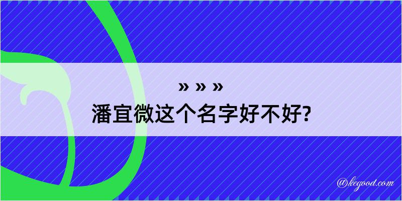 潘宜微这个名字好不好?