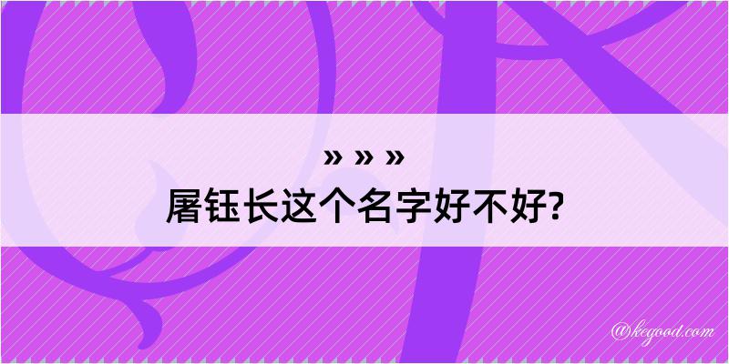 屠钰长这个名字好不好?