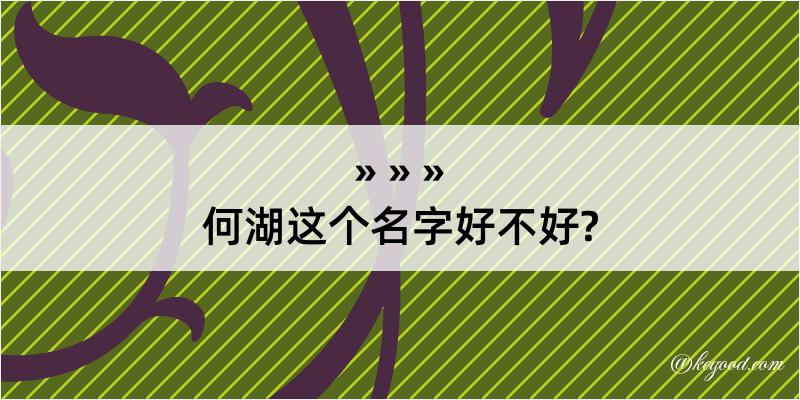 何湖这个名字好不好?