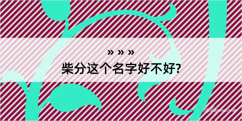 柴分这个名字好不好?