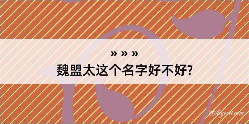 魏盟太这个名字好不好?