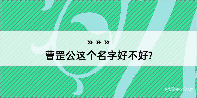 曹罡公这个名字好不好?