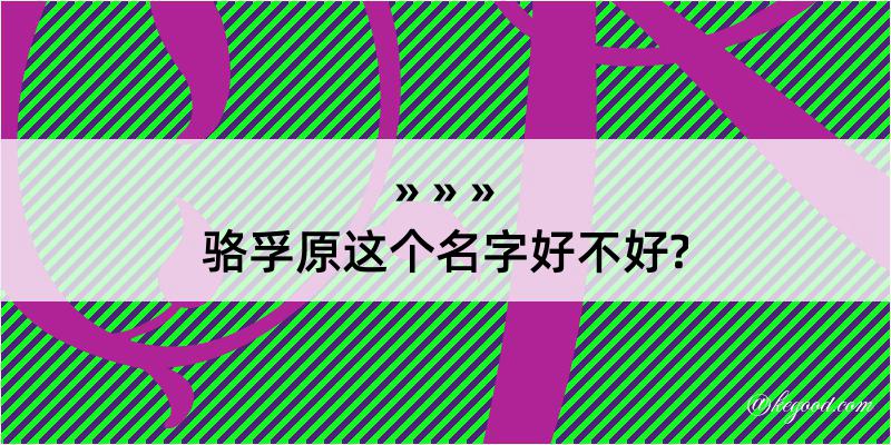 骆孚原这个名字好不好?