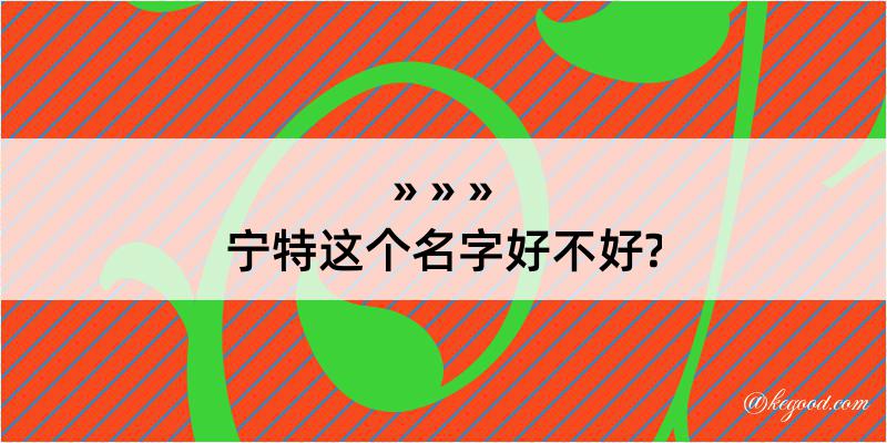 宁特这个名字好不好?