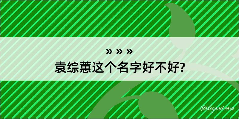 袁综蕙这个名字好不好?