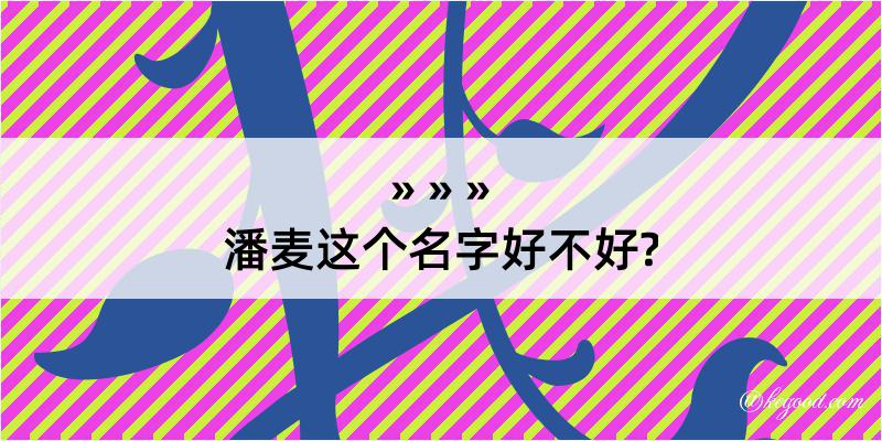 潘麦这个名字好不好?