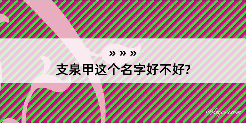 支泉甲这个名字好不好?