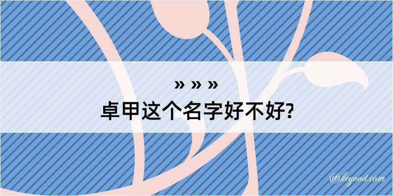 卓甲这个名字好不好?