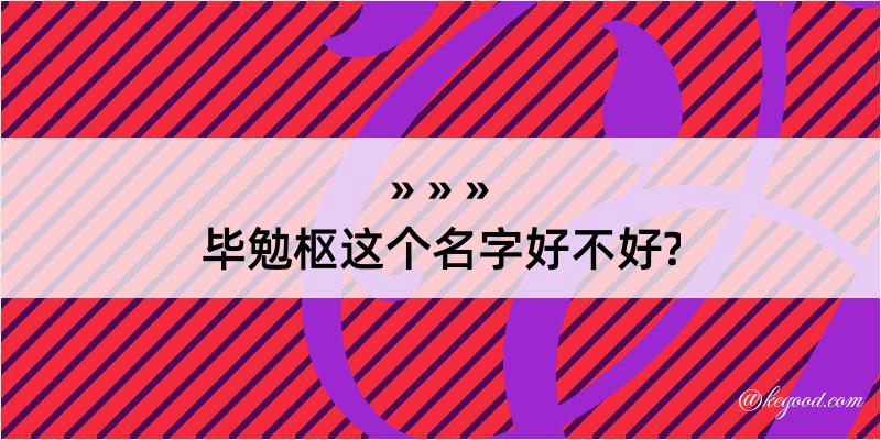 毕勉枢这个名字好不好?