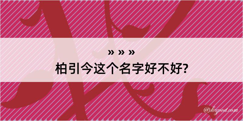 柏引今这个名字好不好?