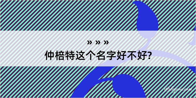 仲棓特这个名字好不好?