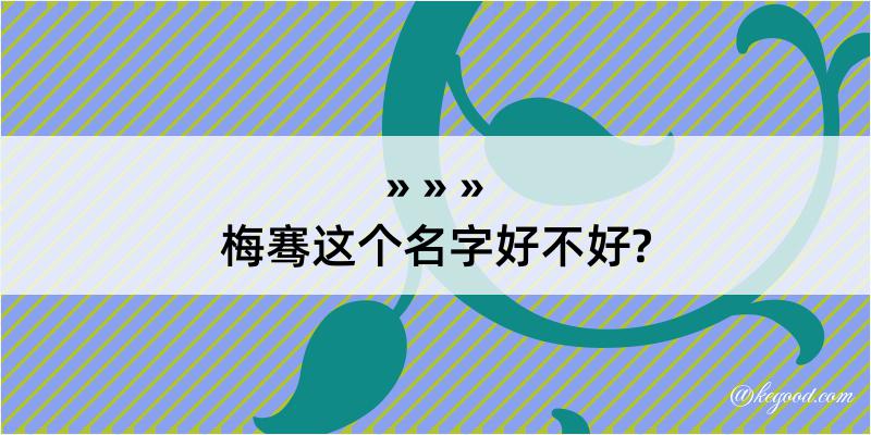 梅骞这个名字好不好?