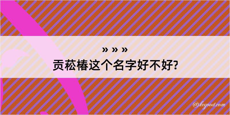 贡菘椿这个名字好不好?