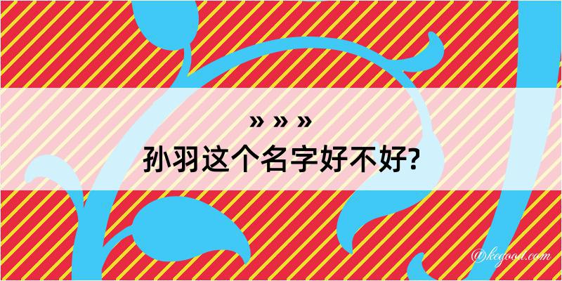 孙羽这个名字好不好?