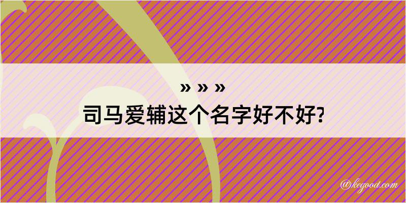 司马爱辅这个名字好不好?