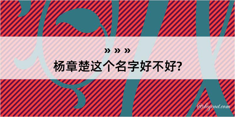 杨章楚这个名字好不好?