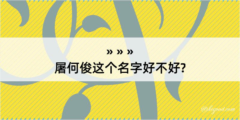 屠何俊这个名字好不好?