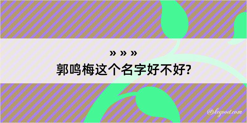 郭鸣梅这个名字好不好?