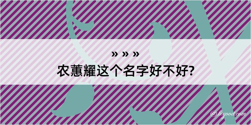 农蕙耀这个名字好不好?