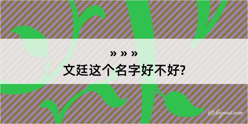 文廷这个名字好不好?