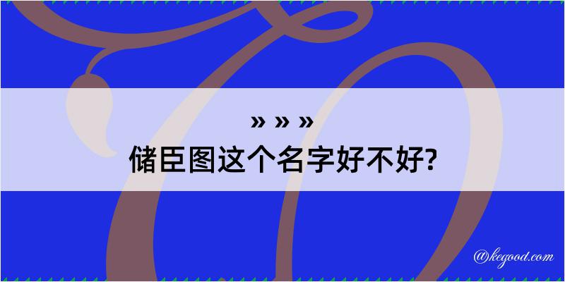 储臣图这个名字好不好?