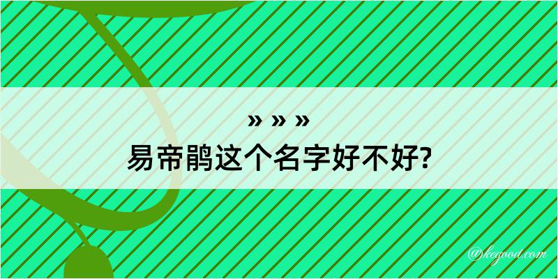 易帝鹃这个名字好不好?