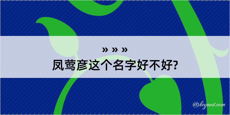 凤莺彦这个名字好不好?